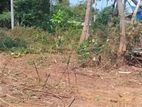 Land For Sale In Piliyandala - CL899