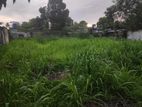 Land for sale in piliyandala dampe