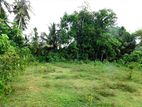 Land For Sale In Piliyandala