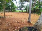 Land for sale in Piliyandala