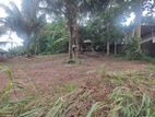 Land for Sale in Piliyandala