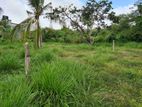 Land for Sale in Piliyandala