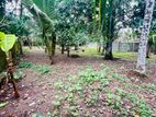 Land for Sale in Piliyandala