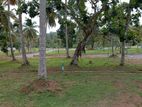 Land for Sale in Piliyandala