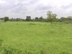Land for Sale in Piliyandala