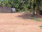 Land for sale in Piliyandala