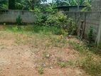 Land for Sale in Piliyandala 🏠