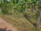 Land for sale in piliyandala