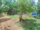 Land For Sale In Piliyandala