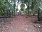 Land for Sale In Piliyandala