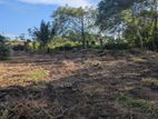 Land for Sale in Piliyandala