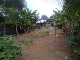 Land for Sale in Piliyandala Hadigama