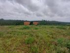 Land for Sale in Piliyandala Kahathuduwa