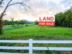 land for sale in piliyandala kotagedara