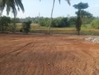 Land for Sale in Piliyandala, Kudamaduwa