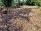 Land For Sale In Piliyandala Madapatha