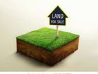 Land for Sale in Piliyandala - Madapatha Road