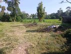 Land for sale in Piliyandala-Nampamunuwa