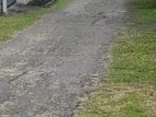 Land for sale in Piliyandala Road wiswakalawa