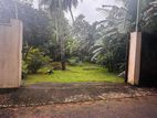 Land for Sale in Piliyandala Town