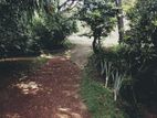 Land for Sale in Piliyandala WR02100
