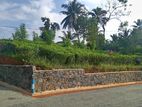 Land for Sale in Pinnaduwa