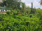 Land for Sale in Pinnaduwa