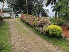 Land for Sale in Pinnaduwa