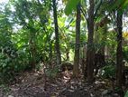 Land for Sale in Pinnaduwa, Galle