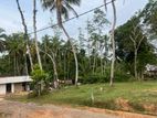 Land for Sale in Pinnaduwa, Godadeniya kanda