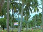 Land For Sale In Pinnawala