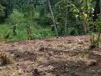 Land for Sale in Pinnawala Rambukkana