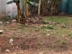 Land for Sale in Pita Kotte