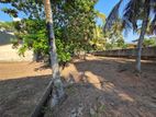 Land for Sale in Pitakotte - 3960U