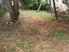 Land for Sale in Pitakotte