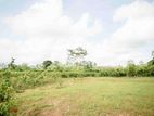 Land for Sale in Pitigala, Galle