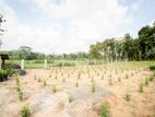 Land for Sale in Pitigala Galle