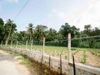 Land for Sale in Pitigala, Galle