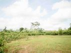 Land for Sale in Pitigala, Galle