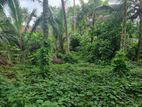 Land for Sale in Pitipana