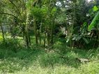 Land for Sale in පන්නිපිටිය