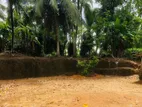 Land for Sale in Poddala