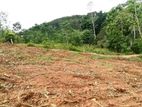 Land for Sale in පොද්දල කාසිදෙනිය පාර