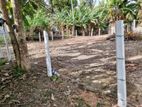 Land for Sale in Podi Vi Kubura Peralanda