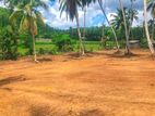 Land for Sale in Pokunuvita