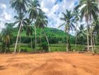 Land for Sale in Pokunuvita