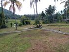 Land for Sale in Pokunuvita