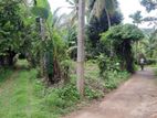 Land for Sale in Pokunuvita - Horana