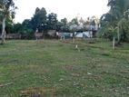 Land for Sale in Pokunuvita Horana