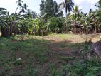 Land for Sale in Pokunuwita, Horana